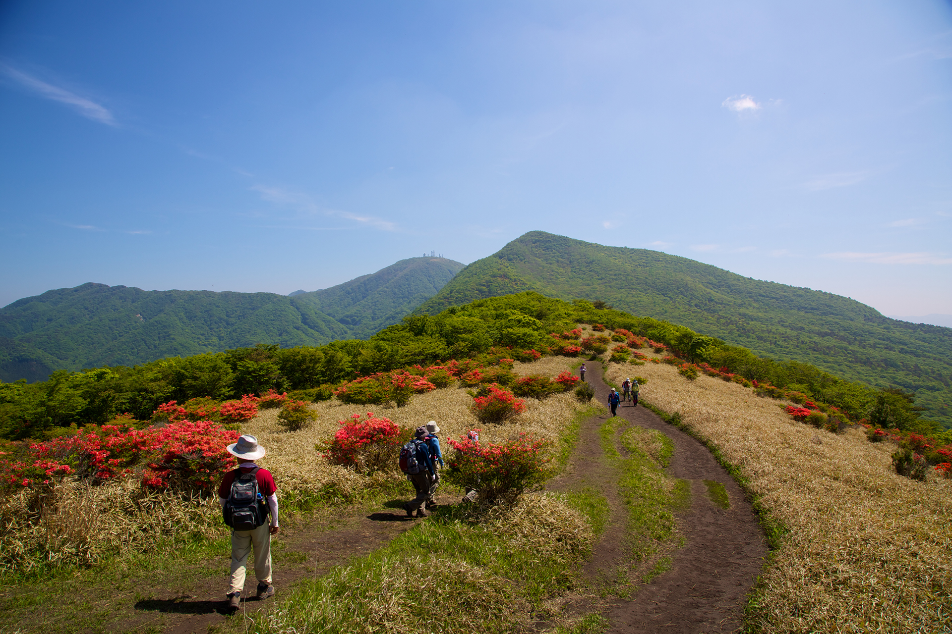 5_1 初心者にもおすすめ！関東近郊＆日帰りで楽しめる、絶景登山・ハイキングスポット15選