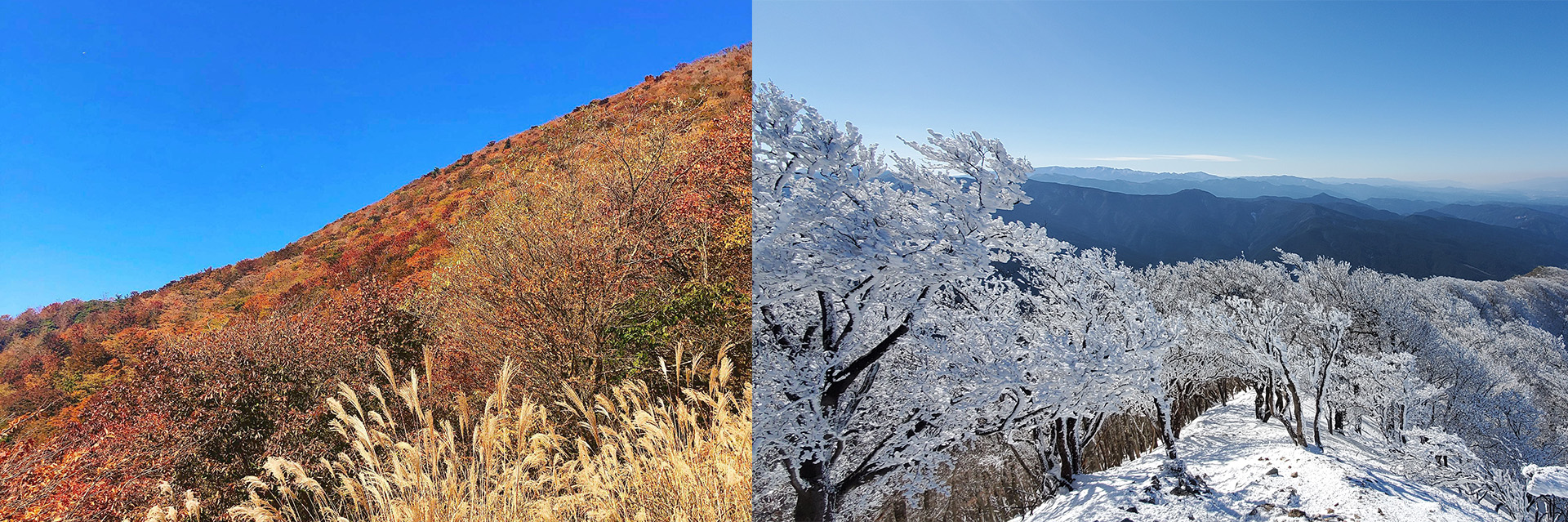 10_2 初心者やファミリーにもおすすめ！関西近郊の絶景が楽しめる登山・ハイキングスポット12選