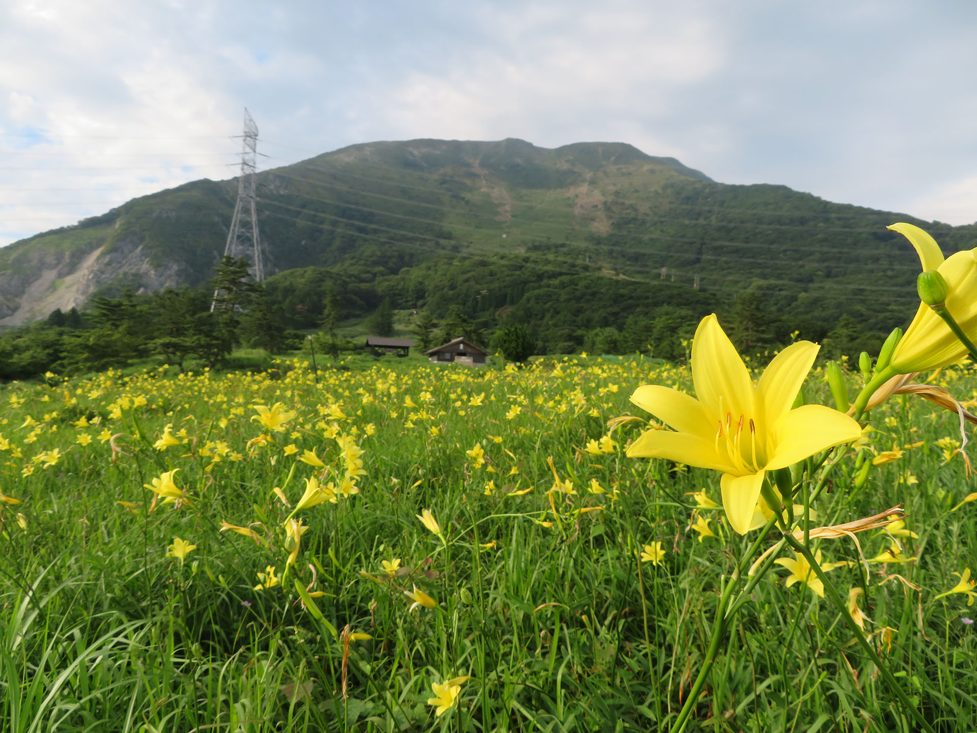 12_2 初心者やファミリーにもおすすめ！関西近郊の絶景が楽しめる登山・ハイキングスポット12選