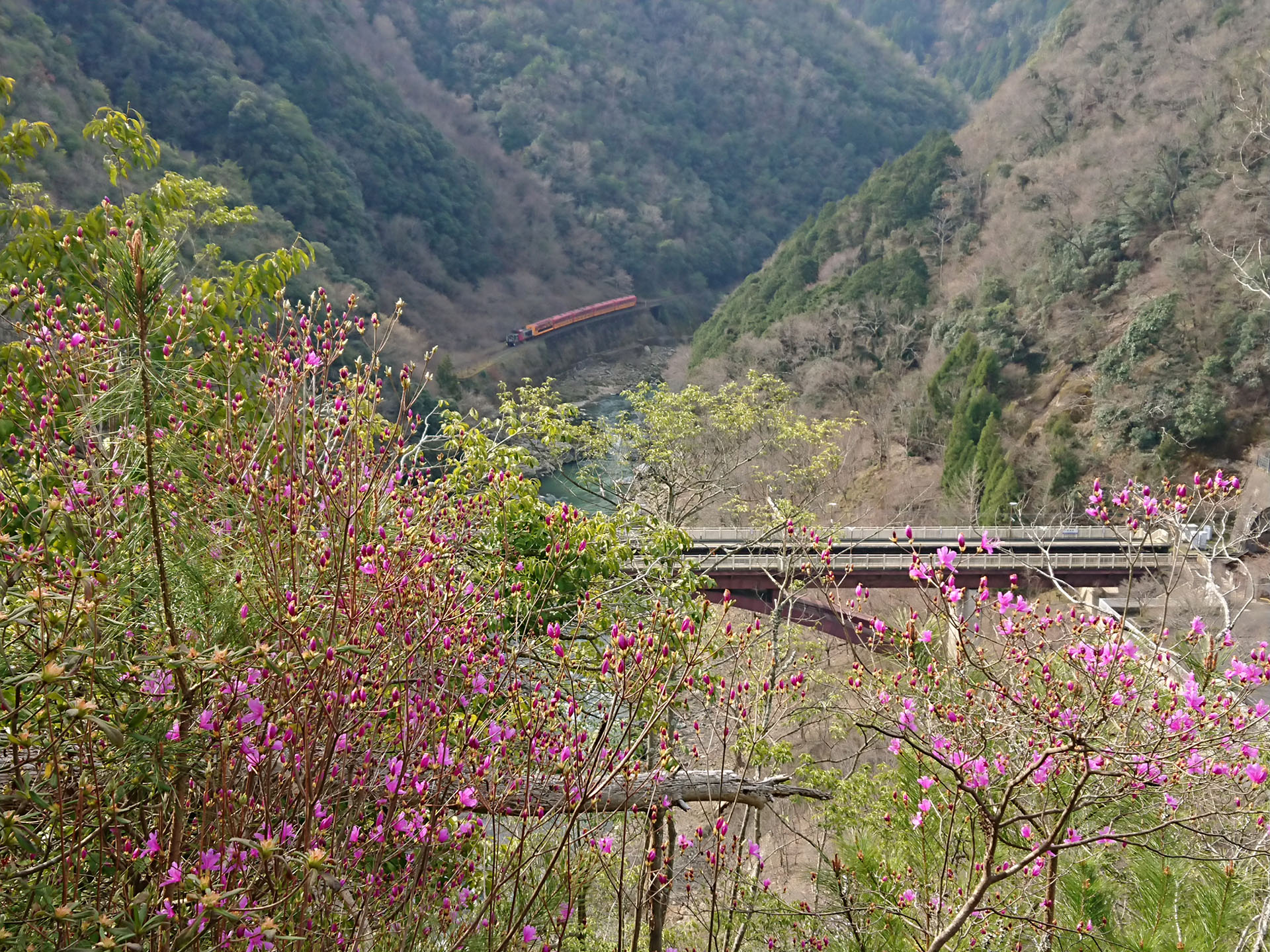 3_2 初心者やファミリーにもおすすめ！関西近郊の絶景が楽しめる登山・ハイキングスポット12選