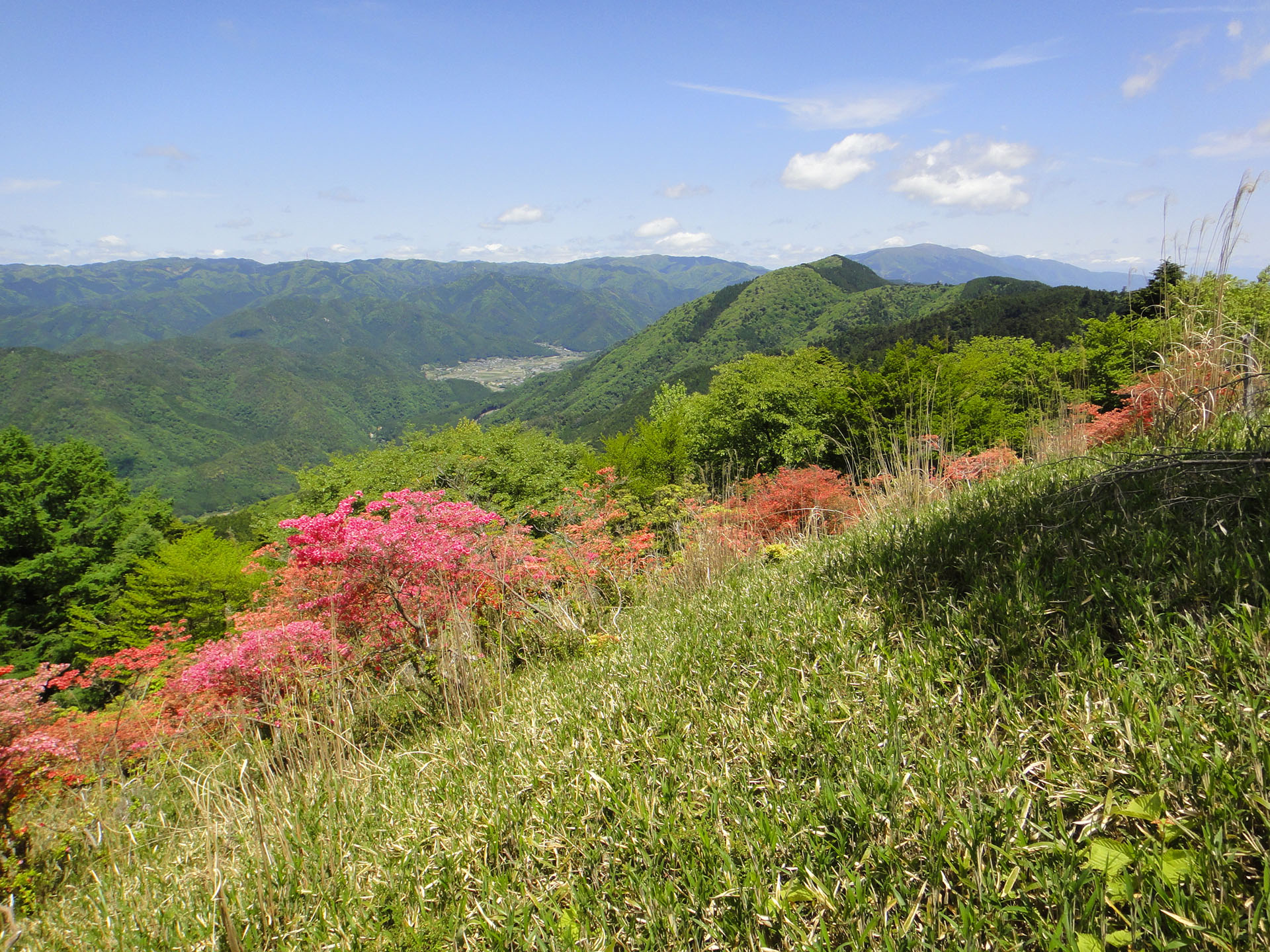 4_1 初心者やファミリーにもおすすめ！関西近郊の絶景が楽しめる登山・ハイキングスポット12選