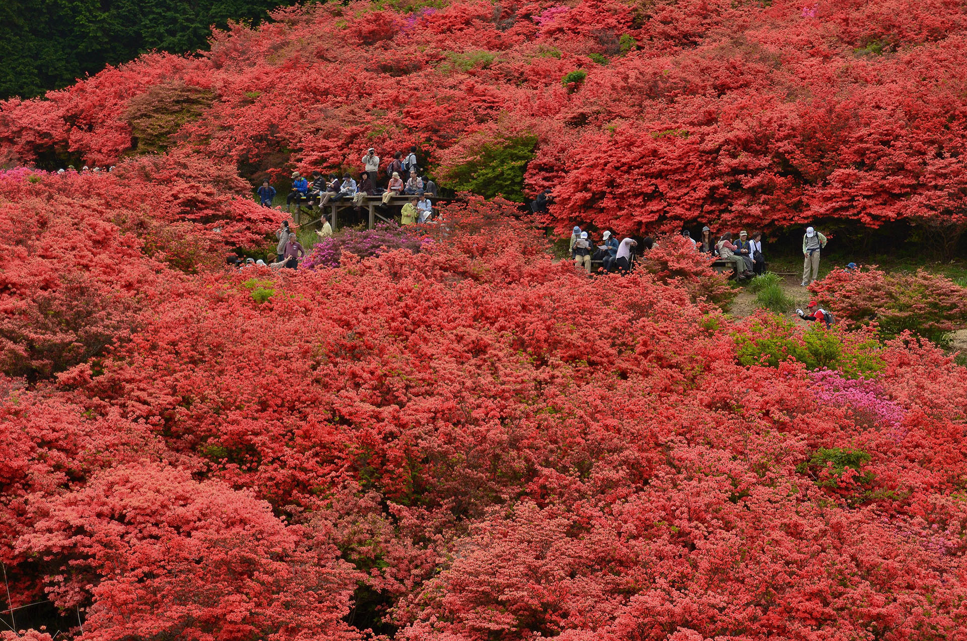 7_1 初心者やファミリーにもおすすめ！関西近郊の絶景が楽しめる登山・ハイキングスポット12選
