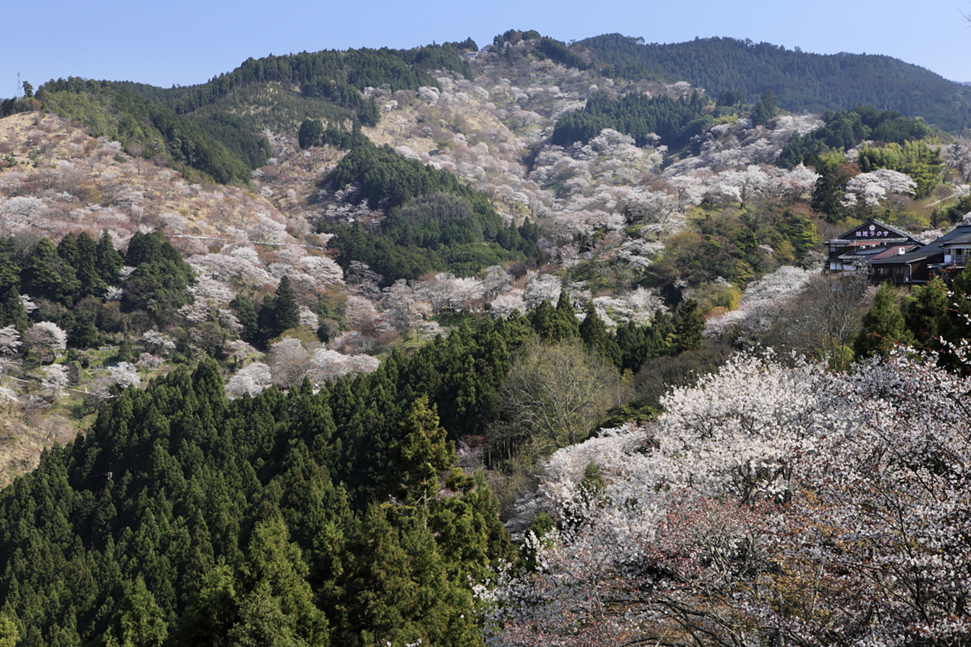 9_1 初心者やファミリーにもおすすめ！関西近郊の絶景が楽しめる登山・ハイキングスポット12選